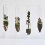 Micro Matter Miniature Sculptures in Glass Test Tubes